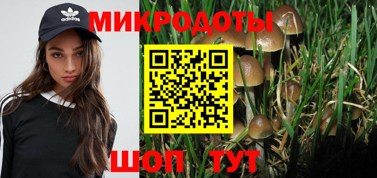 Грязи  Галлюциногенные грибы Cubensis  Вход с VPN 
